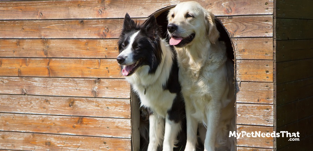 best-dog-kennels