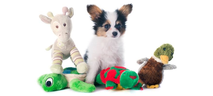 Best Toys for Teething Puppies in 2018