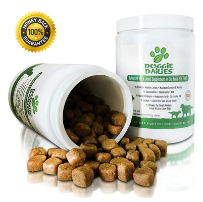 pets supplement