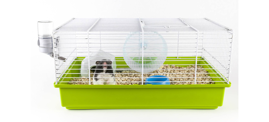 hamster cage