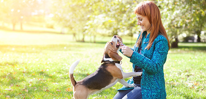 Girl playing with her dog