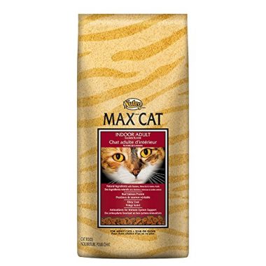 10 Best Dry Cat Foods (Review & Guide) 2019