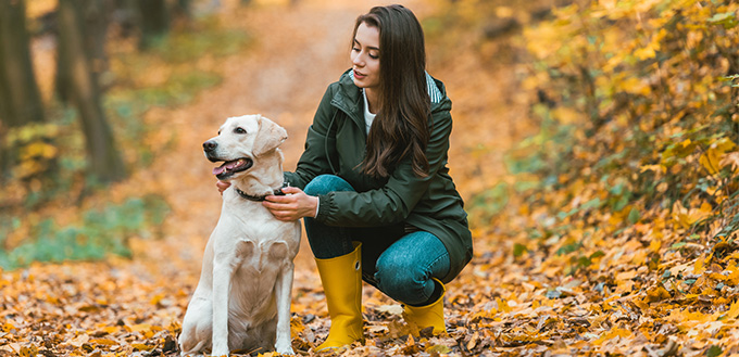 adjusting dog collar