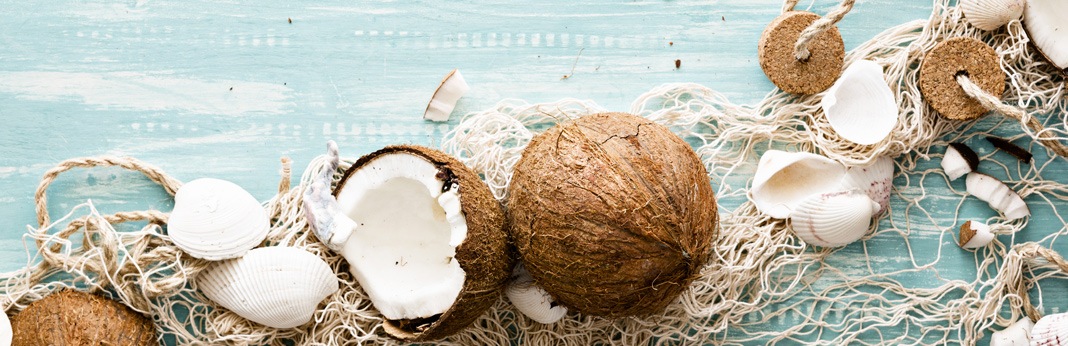 can dogs eat coconuts