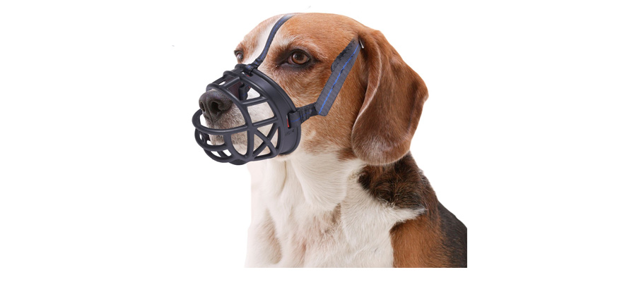 best muzzle for dogs tumblr best muzzle for dogs tumblr