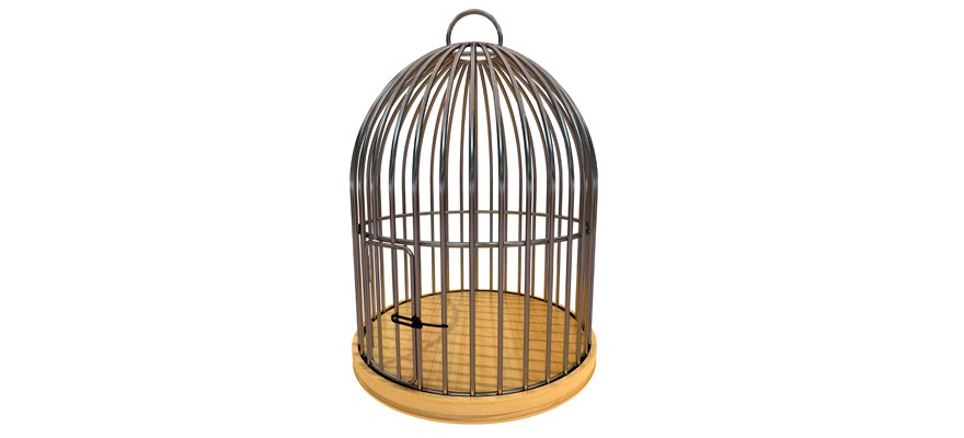 empty-birdcage