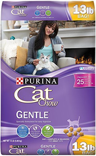 Best Cat Food for Sensitive Stomach (Review & Guide) 2018