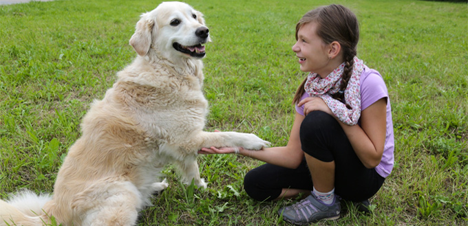 dog shaking hands