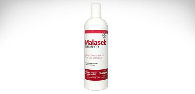 malaseb shampoo pets at home