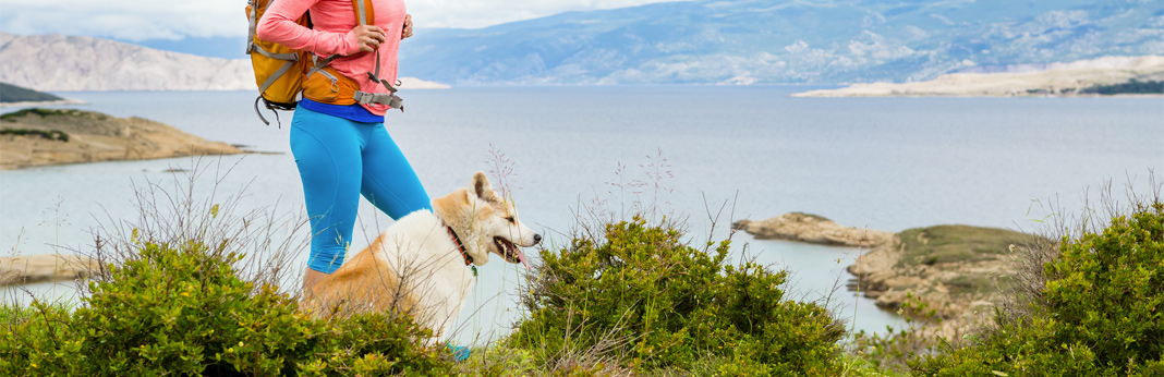 10 essential tips when hiking with your dog