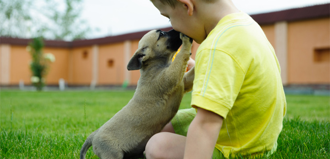 dog with a child