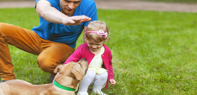 family and a dog