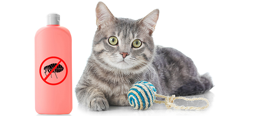 Best Flea Shampoo for Cats (Review & Buying Guide) in 2019