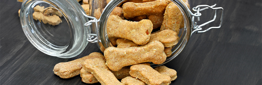 specialty dog food brands