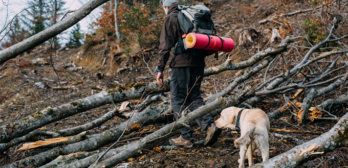 tips for hiking with your dog