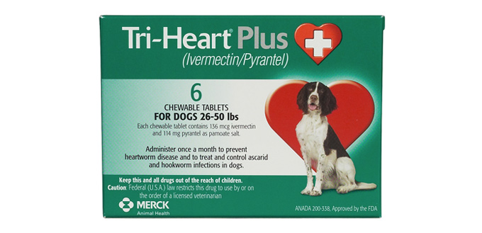5 Best Heartworm Medicines For Dogs 5-best-heartworm-medicines-for-dogs