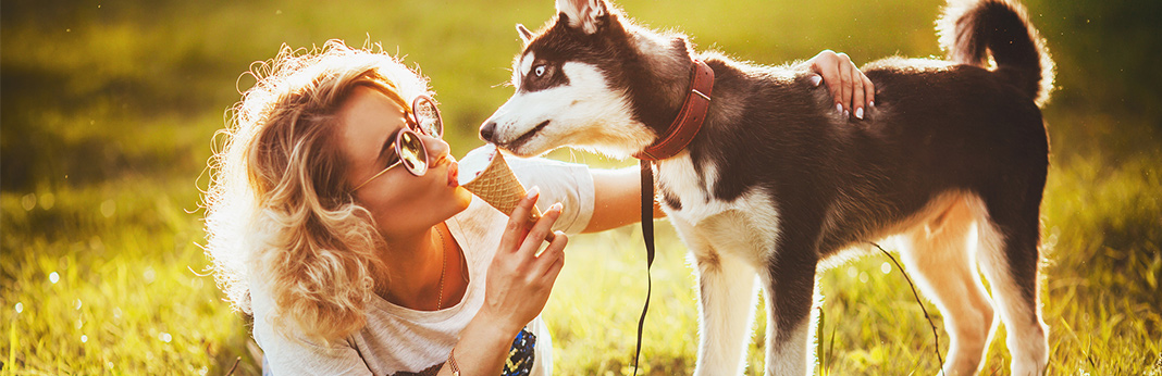 Can-My-Dog-Eat-Ice-Cream