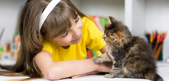 cat being with a human