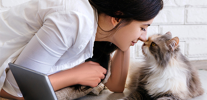 cat's eye contact with its human