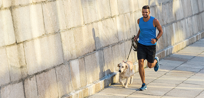 dog doing exercises with a man