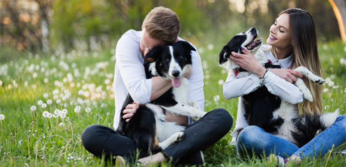 dogs for students