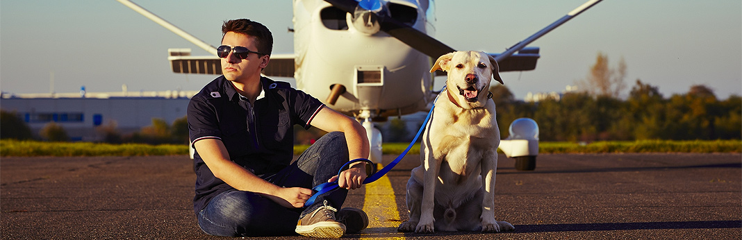 everything you need to know about flying with pets