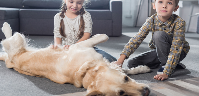 kids petting a dog