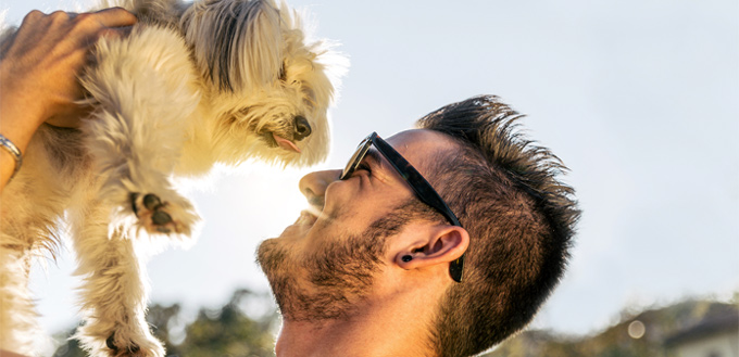 man and dog eye contact