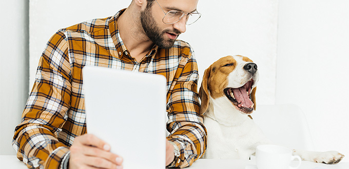 yawning dog