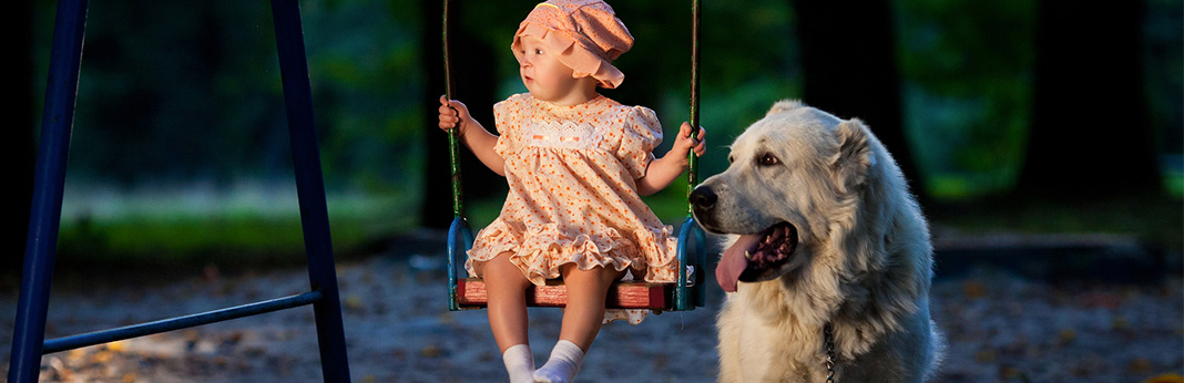Guide for Preparing Your Dog for a New Baby