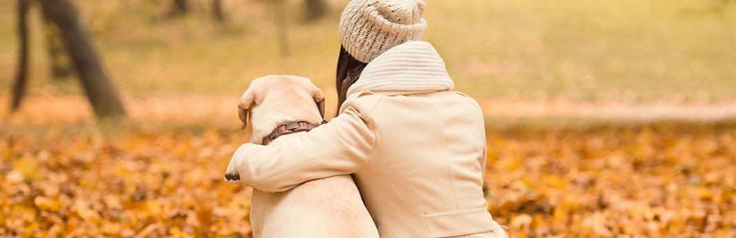 tips on improving end of life care for dogs