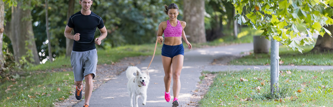 best dog for runners