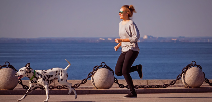 dalmatian running with the owner