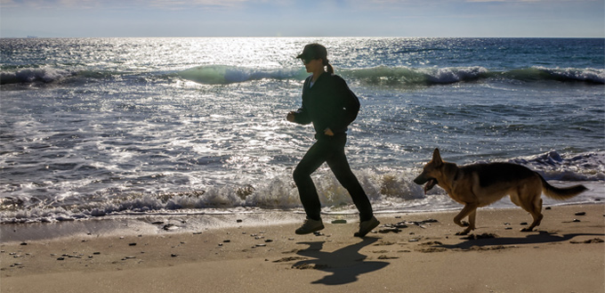 german shepherd running with the onwer