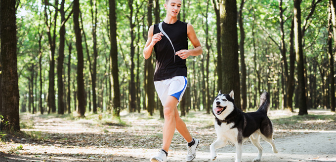 husky running with the owner