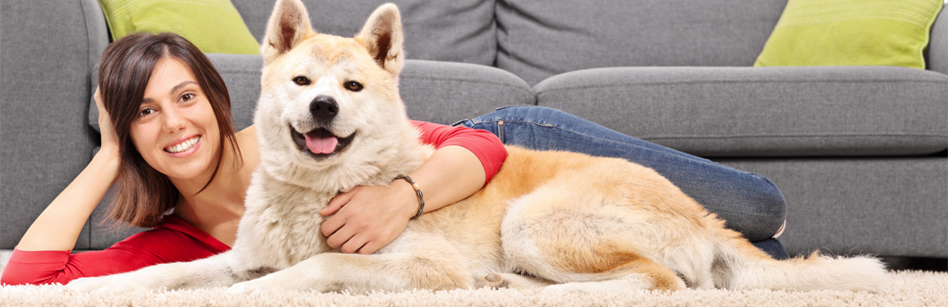 10 things humans do that annoy dogs