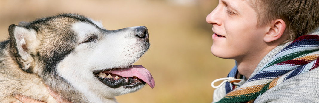 possessive behaviour in dogs