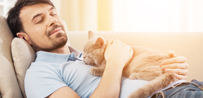 cat showing affection to a man