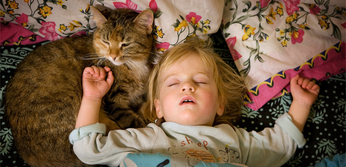 cat sleeping on a child's head