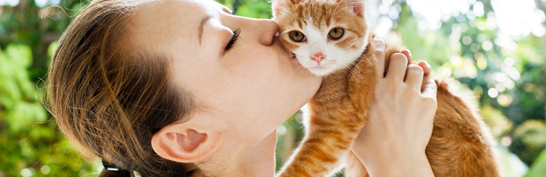 do cats like kisses?