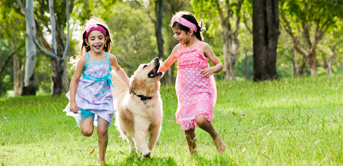 dog with children