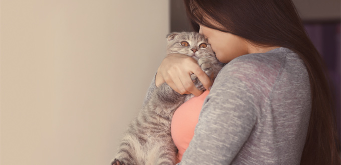 how your cat shows affection to you