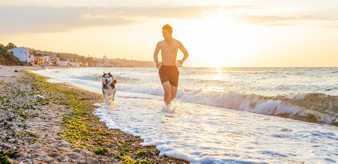 husky with the owner on the beach