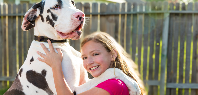 large dogs are a bad choice for kids and apartments