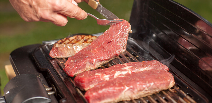 barbecue with pets