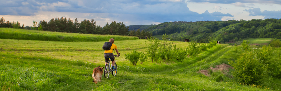 do’s and don’ts for mountain biking with a dog