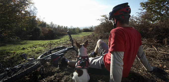 mountain biking with a dog