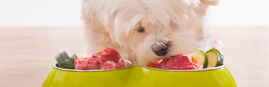 benefits of buying dog food in bulk