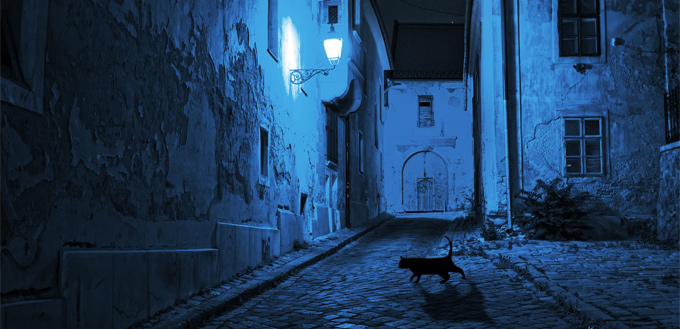 black cat crossing the street