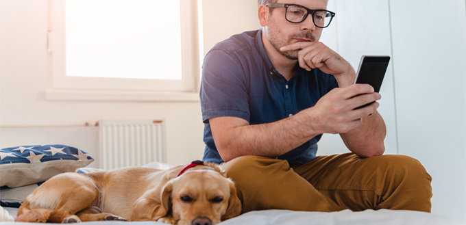 bored dog in a hotel room with the owner